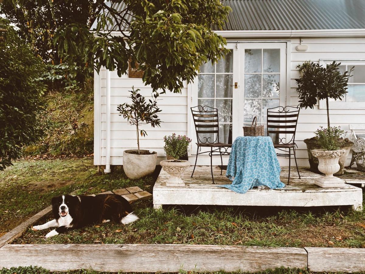 Thistle And Pine Cottage Farmstay Tauranga Exterior photo